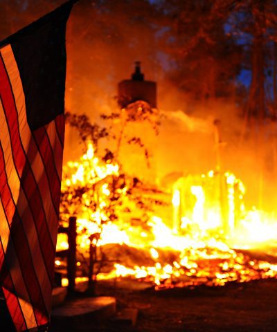 Oficinas Legales De Sharona Eslamboly Black Forest Fire